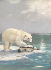 Original polar bear for sale  South Portland