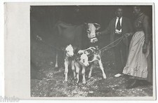 Bm503 carte photo d'occasion  Montrouge