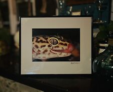 Leopard gecko close for sale  Franklinville