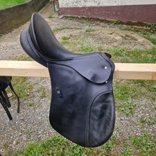 Passier paxton vielseitigkeits gebraucht kaufen  Pfullendorf