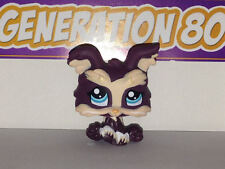 Littlest petshop yorkshire d'occasion Littlest petshop yorkshire d'occasion  Bruay-la-Buissière