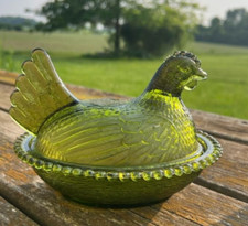 6 hens for sale 6 hens for sale Elkhart