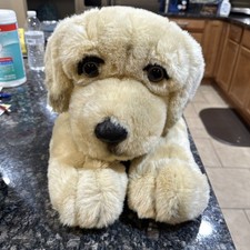 Yellow lab puppy for sale  Levittown