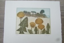 Margrit ewert farb gebraucht kaufen  Magdeburg