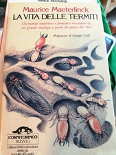 Vita delle termiti usato  Rieti