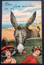Donkey greets ladies for sale  DUMFRIES