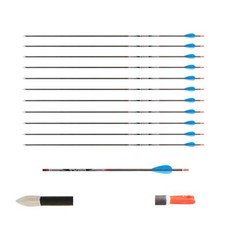 Carbonpfeile avalon tyro gebraucht kaufen  Alfhausen