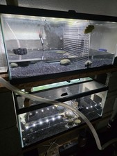 Gallons fish tank for sale  Brooklyn