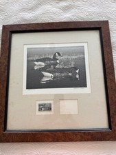 Federal duck stamp for sale  Bloomington