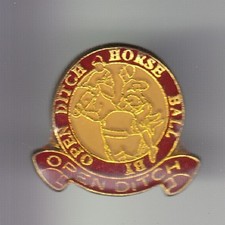 Rare pins pin d'occasion  Ménéac