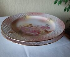 Speiseteller wild rose gebraucht kaufen  Steinwiesen