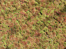 Moosfarn feenmoos azolla gebraucht kaufen  Schmidmühlen