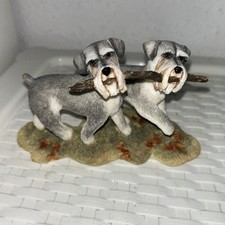 German schnauzer pair for sale  BIRMINGHAM
