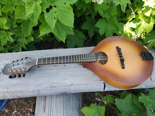 Breedlove premier mandolin for sale  Weed