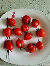 Tomatensamen piennolo del gebraucht kaufen  Pattensen