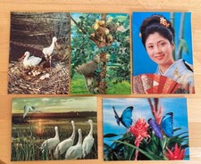 Postkarte 5st . gebraucht kaufen  Neustadt Glewe