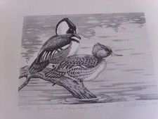 1968 federal duck for sale  Coloma
