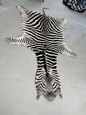 Taxidermy zebra skin for sale  KIDLINGTON