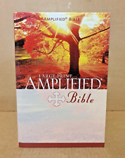 Amplified holy bible for sale  FOLKESTONE