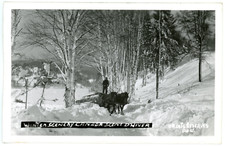 Foto em cartão Hauling Logs Scene d'Hiver Comté TERREBONNE Quebec 1946-48 PG.V., usado comprar usado  Enviando para Brazil
