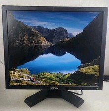 Monitor LCD 19" Dell E190SF *TESTADO* Vem com VGA e Fonte de Alimentação comprar usado  Enviando para Brazil