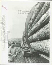 Press photo mill for sale  Memphis