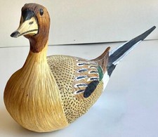 Beautiful large pintail for sale  NORWICH
