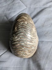 Vintage large fossil for sale  BLACKPOOL