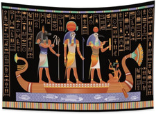 100x70cm antico egitto usato  Roma