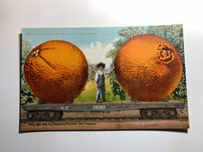 .p.r.r. railroad postcard for sale  Sebastopol