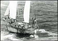 Vintage robin knox usato  Roma