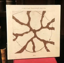 Mirella bentivoglio albero usato  Roma