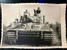 char tigre d'occasion  France
