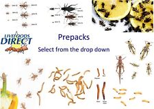 Live mealworms crickets for sale  SHEFFIELD