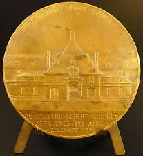 Medaille ansicht krankenhaus gebraucht kaufen  Versand nach Germany