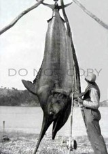 Antique saltwater fishing for sale  Royal Oak