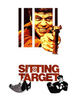 Sitting target 1972 for sale  HULL
