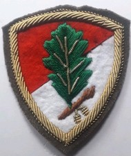Scudetto omerale brigata usato  Italia