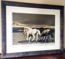Fine art photography for sale  Austin