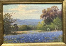 Porfirio Salinas 1910-1973 Rara Pequena Bluebonnet Texas Paisagem Obra-prima comprar usado  Enviando para Brazil