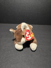 Beanie baby pounce for sale  Waterbury