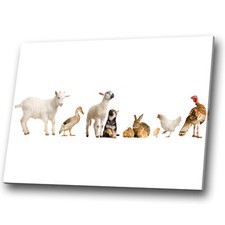 Animal canvas prints for sale  STRABANE
