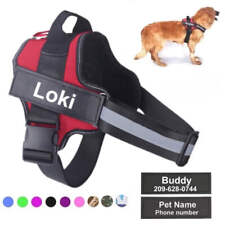 Personalised pull dog for sale  MANCHESTER