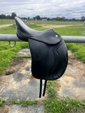 Pegasus butterfly dressage for sale  Morgan Hill