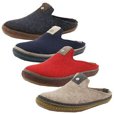 Haflinger 481066 everest gebraucht kaufen  Eggesin