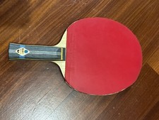 Racchetta professionale tennis usato  Potenza