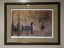 Gary moss morning for sale  Cedar City