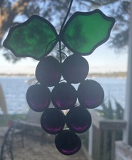 Bunch purple grapes for sale  Orlando