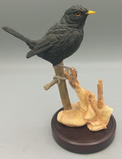 the country bird collection for sale the country bird collection for sale HEMEL HEMPSTEAD