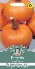 Pumpkin small sugar for sale  NEWMARKET